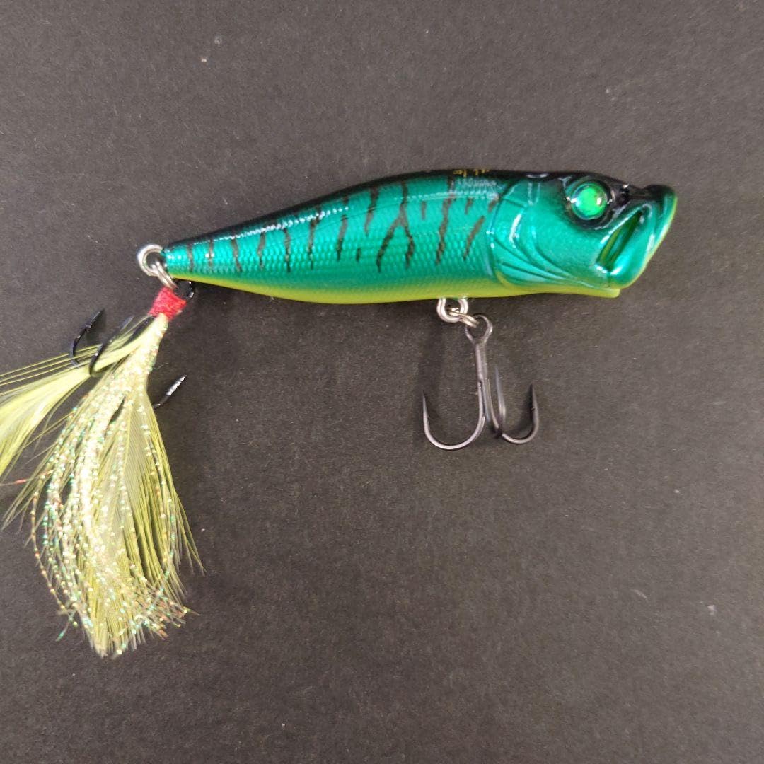 メガバス POP-X 限定 カナモタイガー